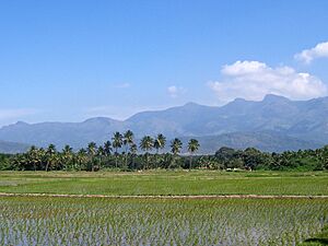 Tamil Nadu countryside