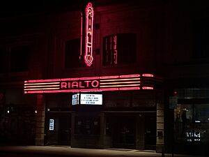 The Rialto at Night