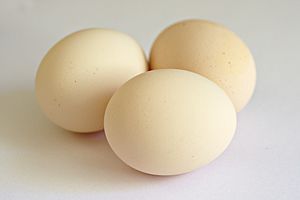 Three Norfolk Grey eggs