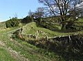 Track over Docker Fell - geograph.org.uk - 597055
