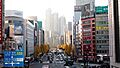 View from the crosswalk bridge (49376073788)