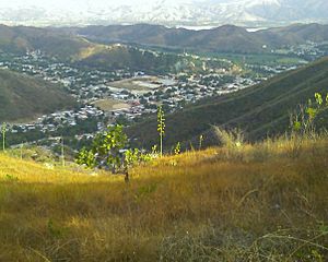 Vista de Zamora desde lo alto del cerro.jpg