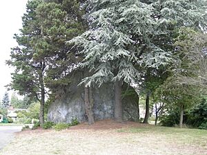 Wedgwood Rock 01