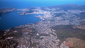 Wgtnharbour