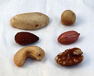 20130126 Mixed nuts