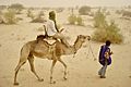 A camel ride in the Sahara Desert