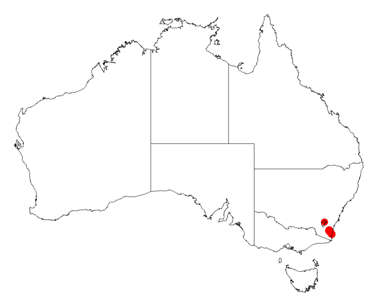 Acacia georgensisDistMap381