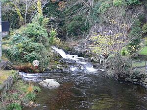 Afon Crafnant - geograph.org.uk - 617643