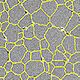 Microscopy image of grains of a material with boundaries displayed in yellow overlay