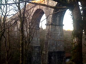 Aqueduct in Luxulyan Valley, Cornwall, UK.