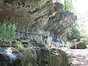 Blue Spring Cliff Shelter