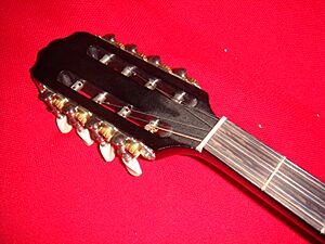 Bouzouki 8 tuners 6 strings