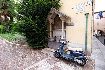 Brescia, Province of Brescia, Italy - panoramio (60)