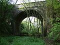 Bridge over Tilton Cutting - geograph.org.uk - 423640