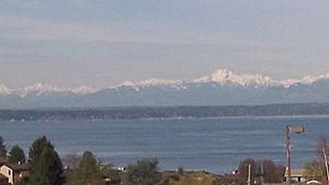 View of the Olympic Mountains and Puget Sound from Broadview