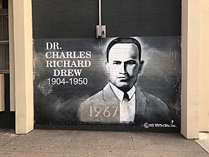 Bronx Public School Mural of Dr Charles Drew IMG 2785 HLG