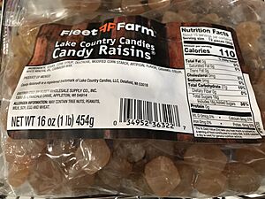 Candy Raisins 01.jpg