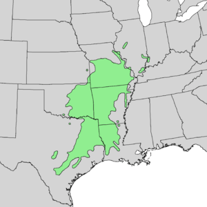 Carya texana range map 1.png