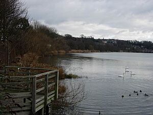 Chessel Bay - geograph.org.uk - 320239