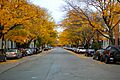 Chestnut Street Salem