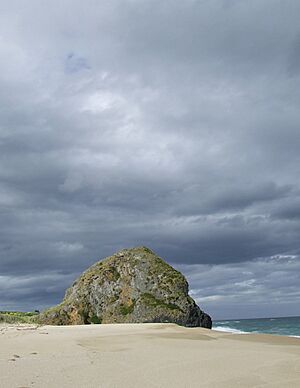 Cooks head overview