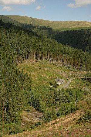 Disused quarry, Dyfi Forest - geograph.org.uk - 1453578