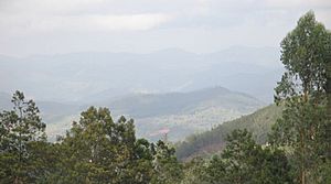 Doddabetta view