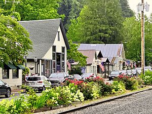 Front Street in Dillsboro