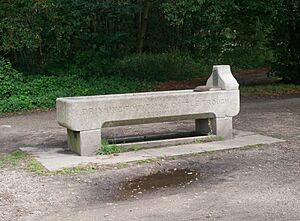 Drinking Fountain and Cattle Trough in Wimbledon Common (01)