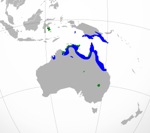 Egretta picata map.svg