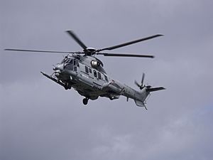 Eurocopter Caracal, en posée sur l'esplanade des Invalides..JPG