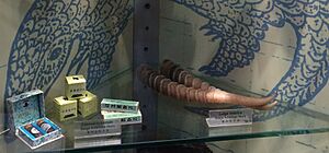 Examples of Saiga Antelope Horn Products Seized by the Hong Kong Government - (37610620286)