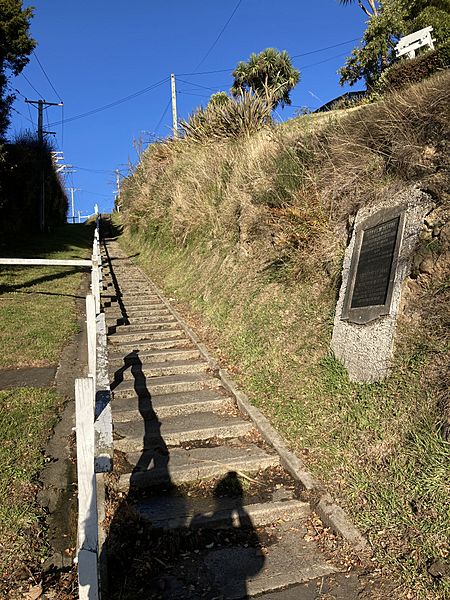 Falcon Street steps