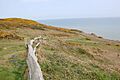 Firehills, Fairlight - geograph.org.uk - 789016