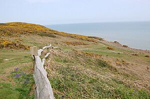 Firehills, Fairlight - geograph.org.uk - 789016