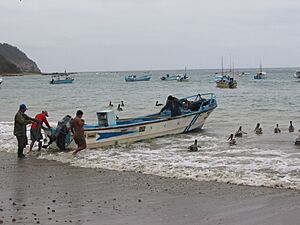 Fisherman in puerto lopez