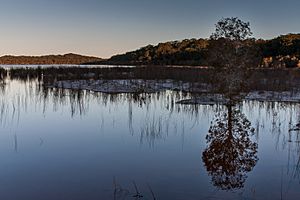 Fraser Island Lake Boomanjin Reflections