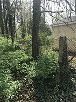 Goodin Cemetery in Spring 2018.jpg