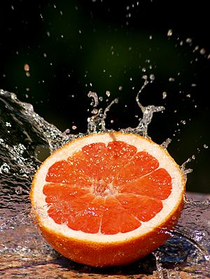 Grapefruit Splash