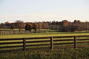 GreenvilleFarmland