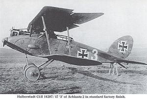 Halberstadt CL II WW1 aircraft left.jpg