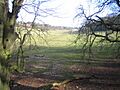 Hemel Hempstead, Long Deans Nature Reserve - geograph.org.uk - 127709