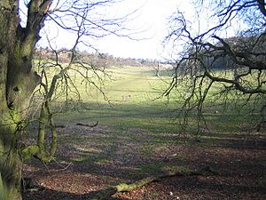 Hemel Hempstead, Long Deans Nature Reserve - geograph.org.uk - 127709