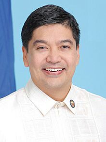 HoR Official Portrait Luis Raymund Villafuerte Jr.jpg