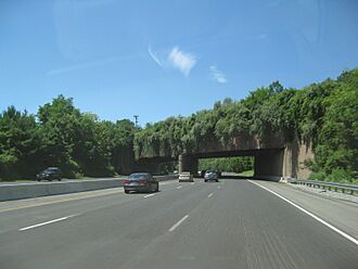 Interstate 78 - New Jersey Watchung Reservation