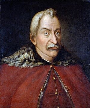 Jan Zamoyski, Wilanow Palace collection