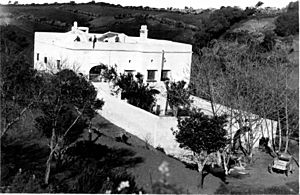 Josef Hammar's fruit farm in Bouzarea, Algeria, 1926