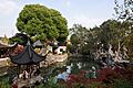 Lion Grove Garden Suzhou November 2017 009