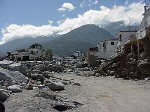 Los Corales (Vargas 2000)