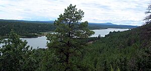 Lower-lake-mary-july-05